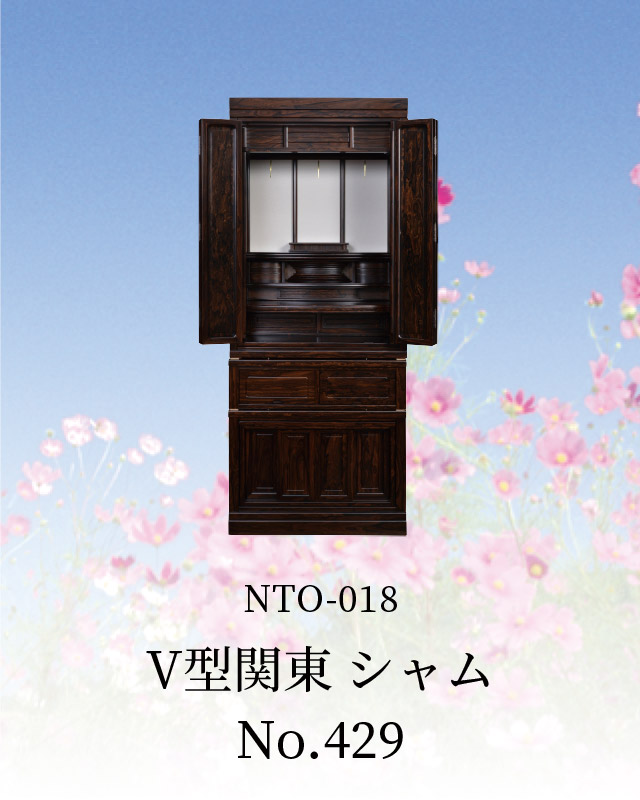 V型関東 シャム No.429